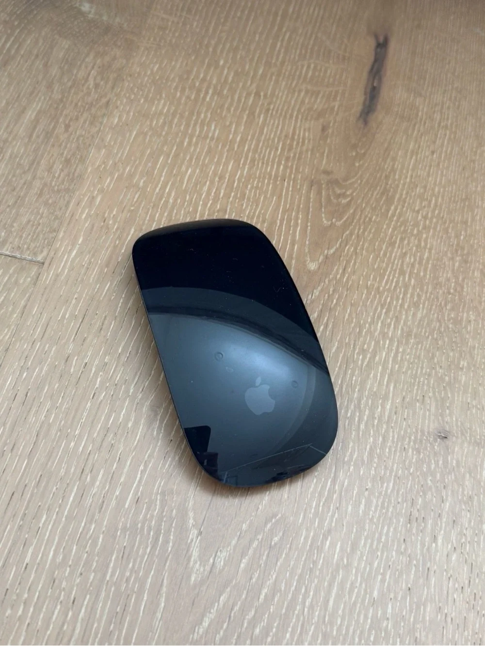 Apple Magic Mouse in Black and Silver